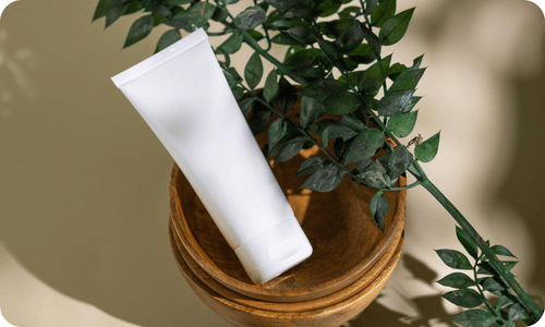 Les meilleures plantes pour le bien-être